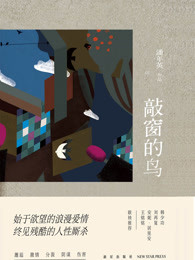 敲窗的鸟
