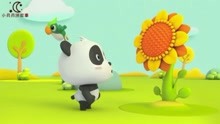 宝宝巴士之熊猫奇奇—不能错过的科普益智动画，奇奇的向日葵