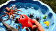 学习认识海洋里的红色海豹玩具