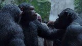 猩球崛起3：猿族开会，这段看了多遍，首领凯撒智力跟人一样高