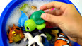 教你认识从海里生活的海龟玩具