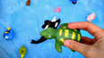 带你认识水盆里的绿色海龟玩具