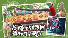 广州长隆动物园的游玩全攻略！国庆出游首选这个景点