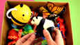 带你认识可爱的国宝大熊猫玩具