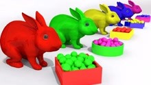 小兔子吃彩色巧克力变色