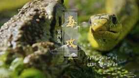 線上看 本草中國 第二季 第4集 (2019) 帶字幕 中文配音，國語版