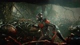 《蚁人2》男人意外获得蚁人战服，进入亚原子领域，水熊虫当坐骑