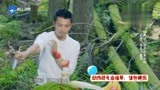 十二道锋味：谢霆锋甄子丹上演切水果表演，武侠刀客也不过如此！