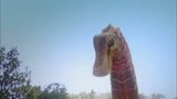 恐龙梦奇地：恐龙宝宝遇到霸主，体重是它十几倍，根本打不过