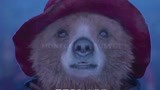 帕丁顿熊：跟着主人去看电影，小熊一脸着迷，熊也喜欢看电影！