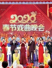 2020央视春节戏曲晚会