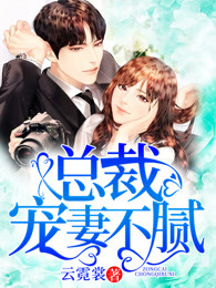 总裁宠妻不腻