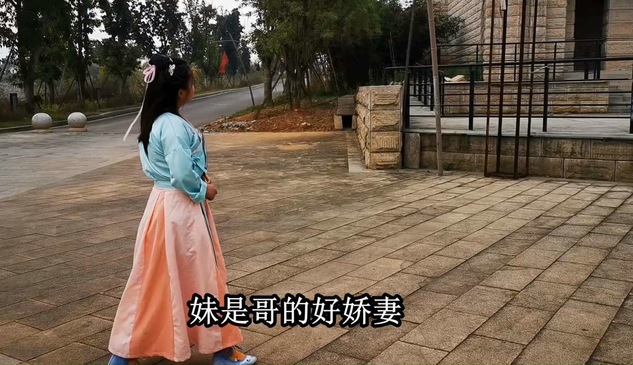 云南林小猫的山歌图片