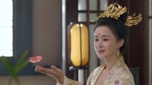 《大唐女法医》杨妃为了迎接圣驾盛装打扮 竟然招来许多蝴蝶