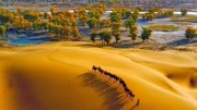 美國：塔克拉瑪乾沙漠中有綠色？西北越來越濕潤，雲南卻大旱了！
