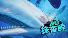 【莱斯利】食人鲨：最终之战（完）