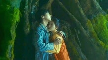 陈孝正和郑微在剧中老槐树下亲吻，浪漫的夏夜让人难忘
