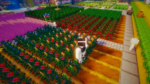 小米丸子 我的世界minecraft丰收物语农场牧场物语食物模组 游戏 高清正版视频在线观看 爱奇艺 小米丸子 我的世界minecraft丰收物语农场牧场物语食物模组 游戏 高清正版视频在线观看 爱奇艺