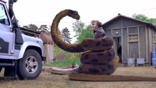 速看蟒蛇变异电影《狂蟒之灾4》，美女大战50米长的变异巨蟒