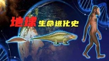 [图]我们的祖先竟然是条鱼？从单细胞生命到人类，地球生物怎么进化？