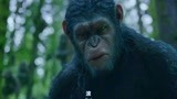 猩球崛起2：大猩猩居然说人话，猿王一声滚，吓得探险队屁滚尿流