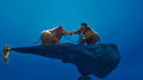 冰川时代2：两只长毛象玩跷跷板，这也太欢快了吧！