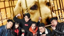Watch the latest Save Dogs (2016) with English subtitle English Subtitle