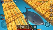 木筏求生：鲨鱼攻击木筏