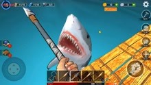 木筏求生：击败鲨鱼