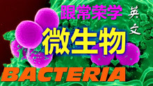 Bacteria14Bacteria put to work细菌用途跟常荣学微生物学 英 4K