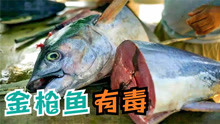 5种“欲罢不能”的有毒食物，吃金枪鱼会使人金属中毒？