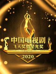 2020中国电视剧飞天奖暨星光奖