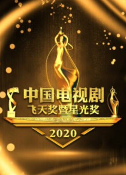 2020中国电视剧飞天奖暨星光奖