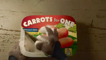 疯狂动物城：兔子警官回到家里，吃速食胡萝卜，没想到这么小