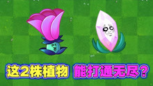 [图]PVZ2：天呐！有人用月光花打通149关无尽？