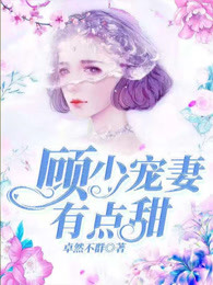 顾少宠妻有点甜