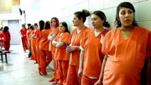 监狱里面全都是女犯人，却每年有上百人怀孕，狱警道出了实情