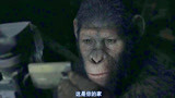 猩球崛起2：猿王凯撒看着老主人的视频，回顾往昔，泪目了