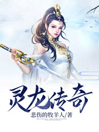 灵龙传奇