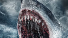ดู ออนไลน์ Killer Shark (2021) ซับไทย พากย์ ไทย