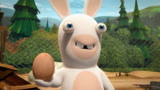 疯狂的兔子：兔子们开启鸡蛋大战，高手对决堪比大片！