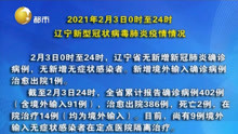 2021年2月3日0时至24时 辽宁新型冠状病毒肺炎疫情情况