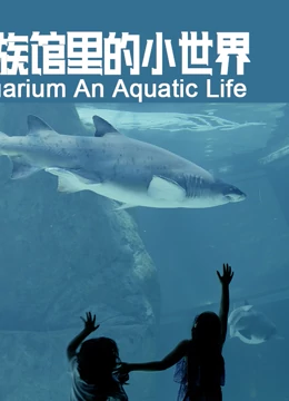 水族馆里的小世界}