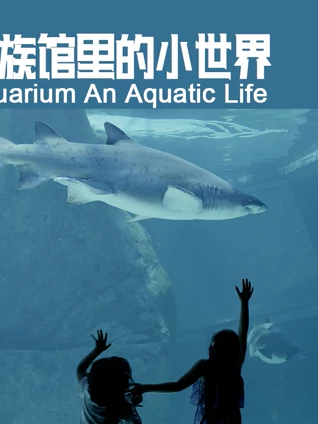 水族馆里的小世界}