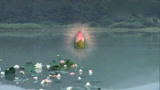 碧波仙子：鲤鱼精修炼成仙，莲花盛开的那一刻，真的太漂亮！