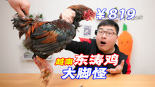 试吃819元一只的东涛鸡，爪子有手腕这么粗，啃起来太过瘾了！