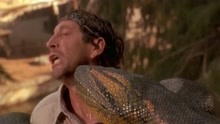 狂蟒之灾：小伙跳下瀑布，大蟒蛇空中一口把他咬住，当场生吃