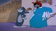 猫和老鼠：两只傻猫相互套路，竟把主人当假扮的！
