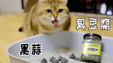 把巨臭的臭豆腐抹在黑蒜上，放进猫砂盆，猫：谁拉稀了？我吐