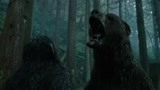 猩球崛起：猿王儿子遭遇狗熊，凯撒怒声咆哮，你面对的是全族群